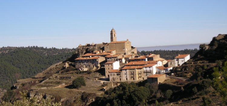 L’Ajuntament de Morella adjudica les pastures del mont d’Herbeset
