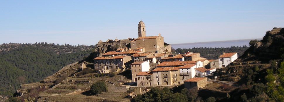 L’Ajuntament de Morella adjudica les pastures del mont d’Herbeset