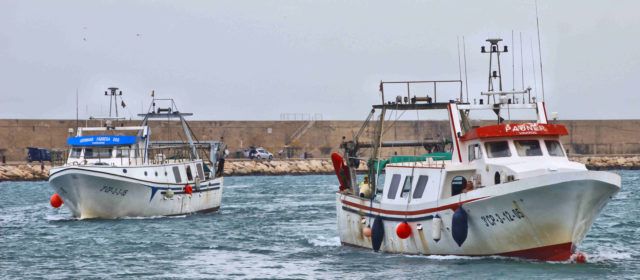 Ben Vist: Barques entrant al port de Vinaròs