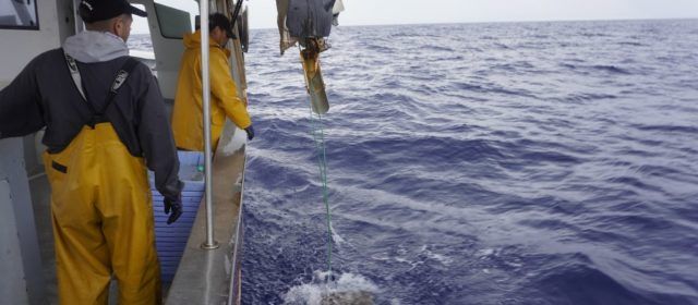 Aprovat el Pla de Gestió de la Pesca Artesanal del Polp amb Caduf on hi ha adscrites 6 embarcacions de Benicarló i Vinaròs