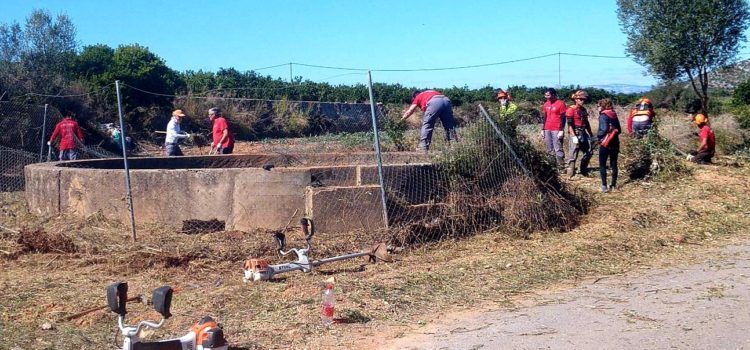 La Regidoria d’Agricultura continua netejant els entorns rurals de Benicarló