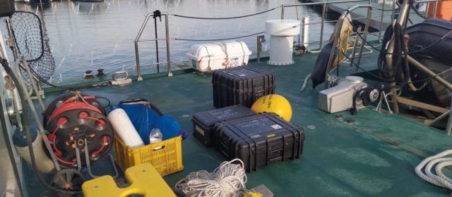 Vídeo i fotos: operació rescat al Delta del cos d’un dels tripulants de l’avioneta estrellada