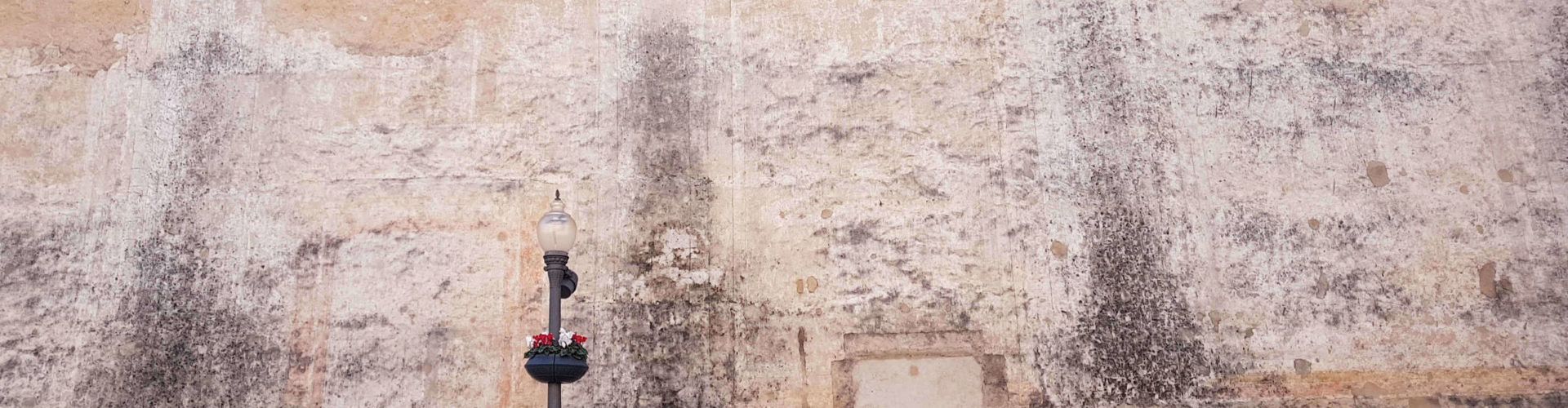 La Conselleria pide al Obispado de Tortosa que restaure las pinturas exteriores de la Arciprestal de Vinaròs