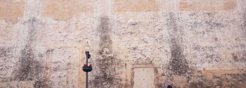 La Conselleria pide al Obispado de Tortosa que restaure las pinturas exteriores de la Arciprestal de Vinaròs