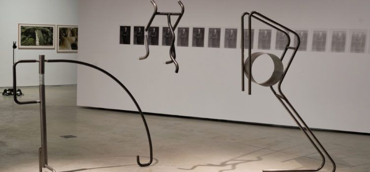 L’obra “Mañana niebla” de David Ortiz guanya la setzena edició de la Biennal d’Art Ciutat d’Amposta