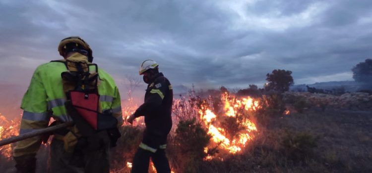 Fotos: incendio de vegetación en Catí