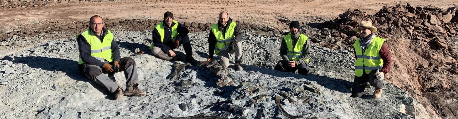 Noves restes de dinosaures ornitòpodes a les mines d’argila de Morella