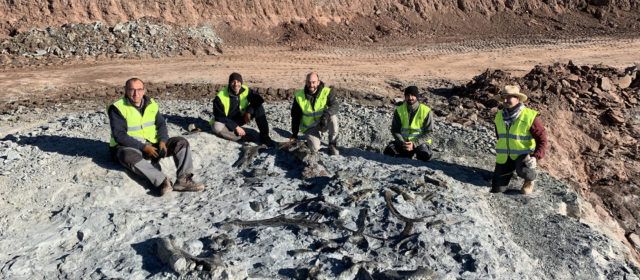 Noves restes de dinosaures ornitòpodes a les mines d’argila de Morella