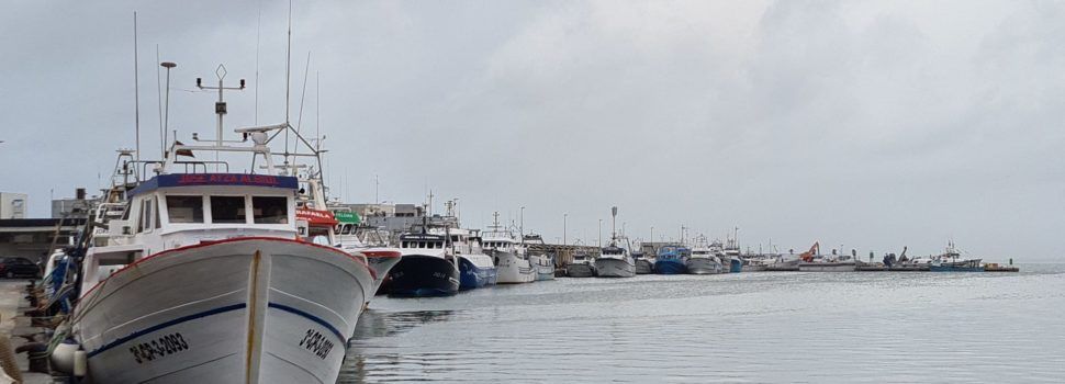 La flota pesquera de la Comunitat Valenciana es queda en port pel temporal marítim