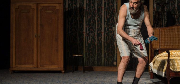 El “ Polzet “ amb la companyia Zum Zum Teatre es presenta a Ulldecona