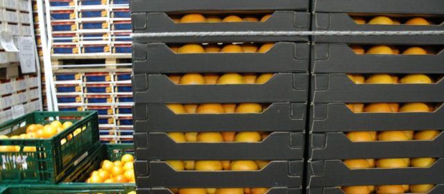 L’economia de les Terres de l’Ebre ha experimentat un repunt aparent durant el tercer trimestre de l’any, malgrat la pandèmia