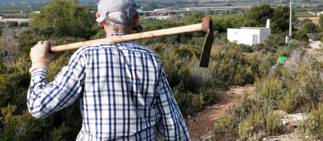Campaña repoblación forestal 2020: Repoblar es vida