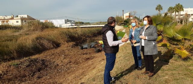 Medi Ambient de Benicarló millora la desembocadura del Barranquet