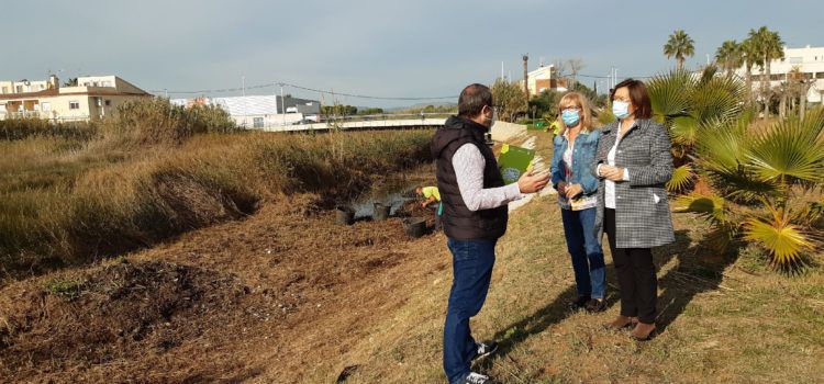 Medi Ambient de Benicarló millora la desembocadura del Barranquet
