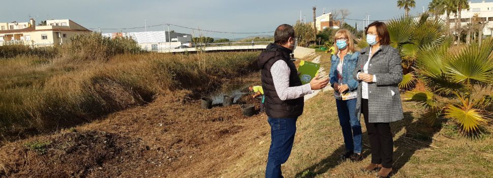 Medi Ambient de Benicarló millora la desembocadura del Barranquet