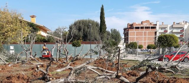 Benicarló transformarà una parcel·la de 3.000 metres quadrats en un gran parc verd