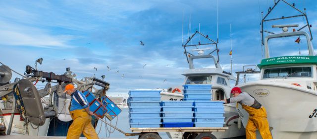 Benicarló demana ajudes europees per a promocionar el sector pesquer