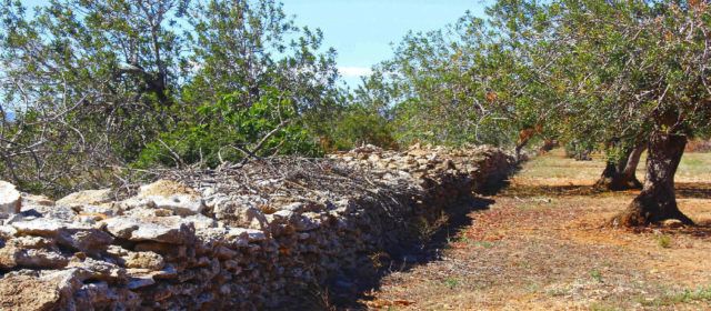 Vinaròs intenta definir su futuro industrial con ayuda del SEPES