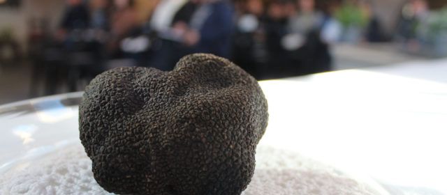 Culla estrena un mercado dominical de trufa negra y productos locales