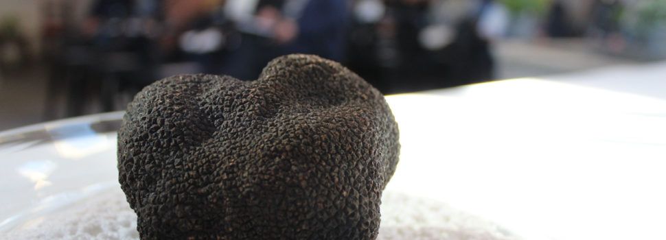 Culla estrena un mercado dominical de trufa negra y productos locales