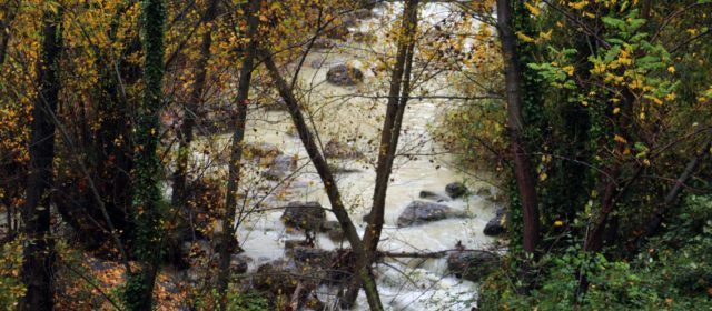 Xifres de rècord de pluja anual a Vallibona