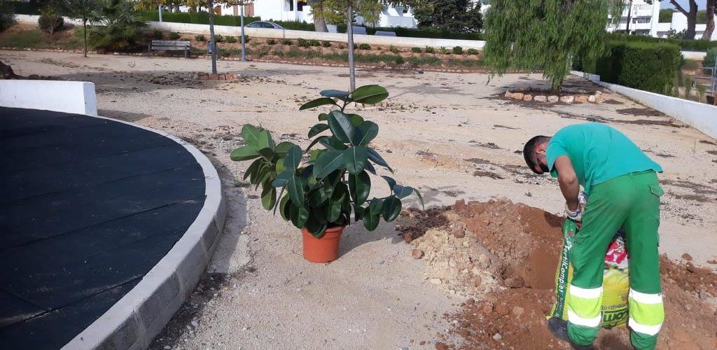 L’Ajuntament d’Alcalà-Alcossebre planta noves espècies arbòries en diferents punts dels nuclis urbans