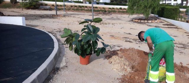 L’Ajuntament d’Alcalà-Alcossebre planta noves espècies arbòries en diferents punts dels nuclis urbans