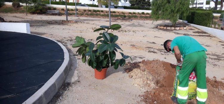 L’Ajuntament d’Alcalà-Alcossebre planta noves espècies arbòries en diferents punts dels nuclis urbans