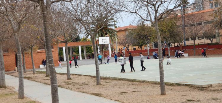 A les comarques de Castelló, el 88,8 % dels 249 centres educatius no té cap grup confinat