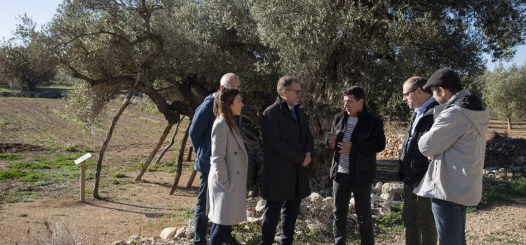 La Diputació destina més de 52.000 euros a la conservació i millora de 16 paratges naturals de la província