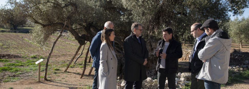 La Diputació destina més de 52.000 euros a la conservació i millora de 16 paratges naturals de la província