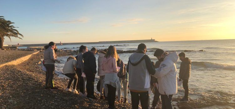 1r ESO Àmbit cientificotecnológic—IES JOAN COROMINES