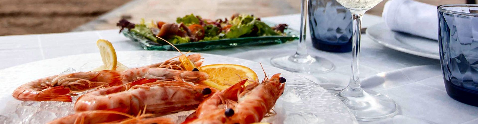 Vinaròs llança una nova campanya de promoció per a dinamitzar l’hostaleria en Nadal