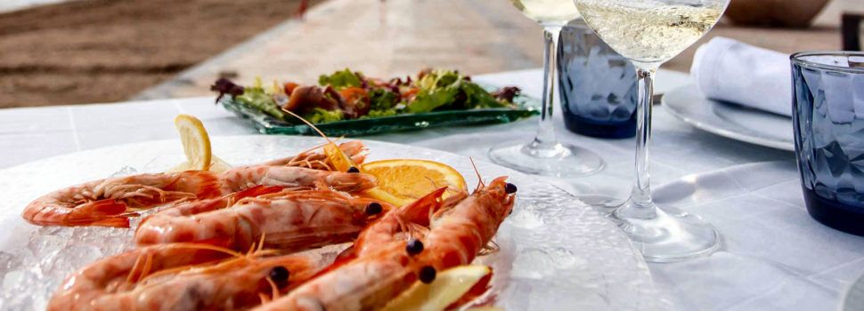 Vinaròs llança una nova campanya de promoció per a dinamitzar l’hostaleria en Nadal