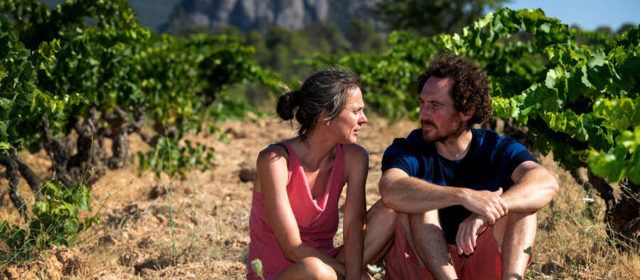 L’Ateneu Cooperatiu Terres de l’Ebre acompanya la creació de cinc noves cooperatives, la majoria de dones