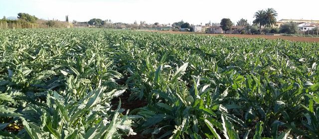 Benicarló regularà la utilització agrícola de fangs procedents de la depuració d’aigües residuals