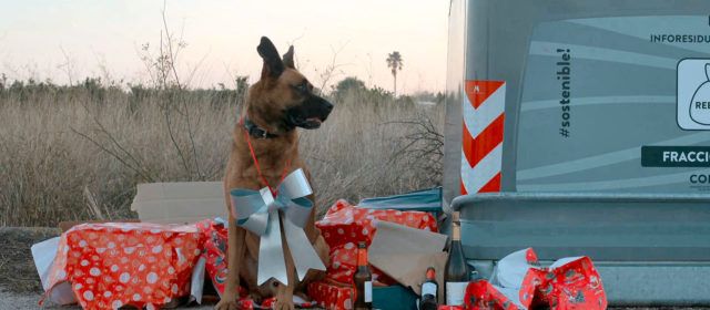 aGOSaGATs i l’Ajuntament d’Alcanar impulsen una campanya nadalenca per evitar abandonaments