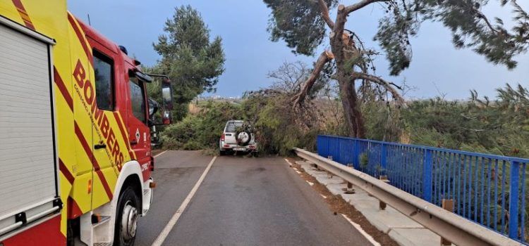 Els Bombers de la Diputació efectuen actuacions a Vinaròs, Benassal, Sorita, entre altres llocs, pel temporal de vent