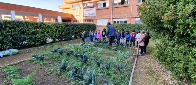 Els horts d’Ecoescoles donen fruit