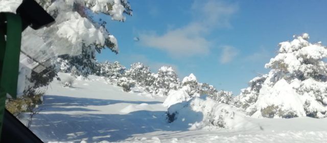 Vídeos: carretera de Vallibona, rere la gran nevada