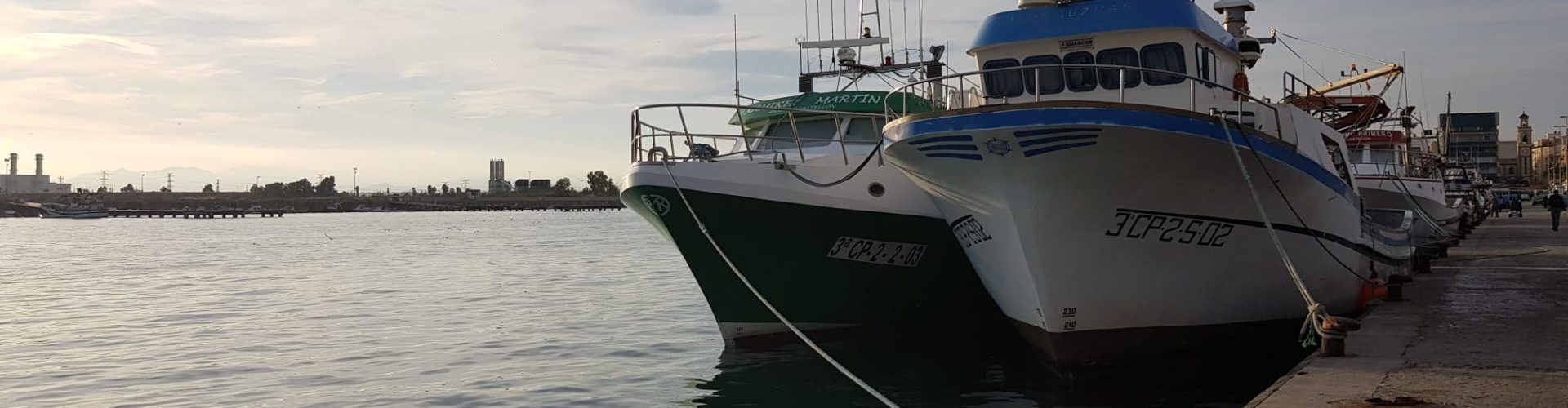 Les tres barques de cércol de Vinaròs tornen a faenar després de l’aturada biològica