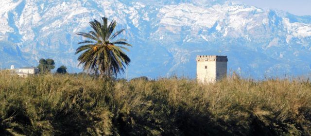 Fotos: la neu vista des del Montsià i Baix Ebre
