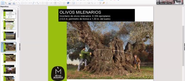 La Taula del Sénia participa en el taller virtual de la FAO sobre SIPAM y restauración de ecosistemas
