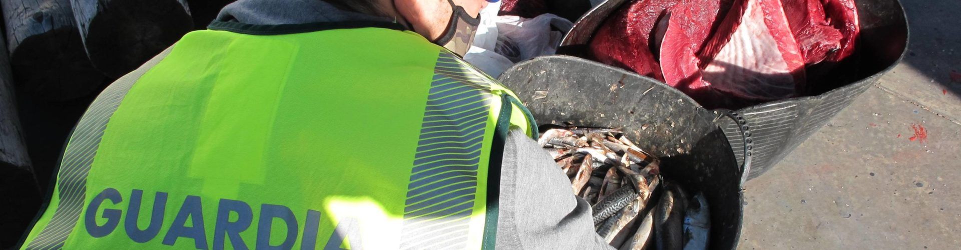 Dos investigados por pescar atún rojo en época de veda, entregado tras incautarlo a Cáritas Diocesana de L’Aldea