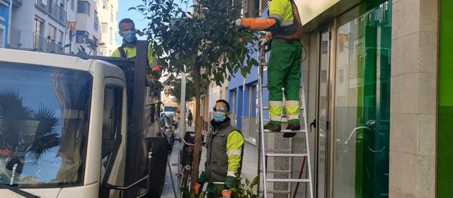 L’Ajuntament de Vinaròs realitza el manteniment de les zones enjardinades