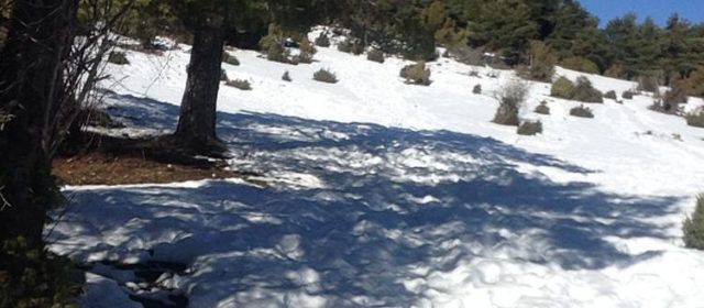 Fotos: La neu “aguanta” al “Pla de Santa Àgueda” (Vallibona)