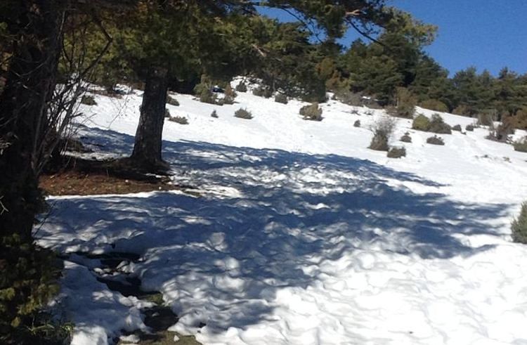 Fotos: La neu “aguanta” al “Pla de Santa Àgueda” (Vallibona)