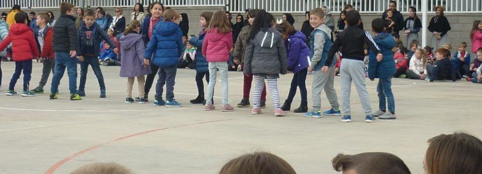 Millores a la pista poliesportiva i als patis de l’Escola Ramón y Cajal, opció escollida en els pressupostos participatius a Ulldecona