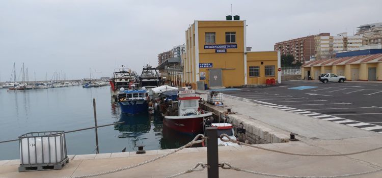 Vinaròs y Benicarló aumentaron las capturas de pescado en el 2020