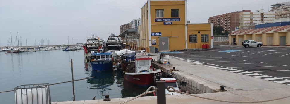 Vinaròs y Benicarló aumentaron las capturas de pescado en el 2020